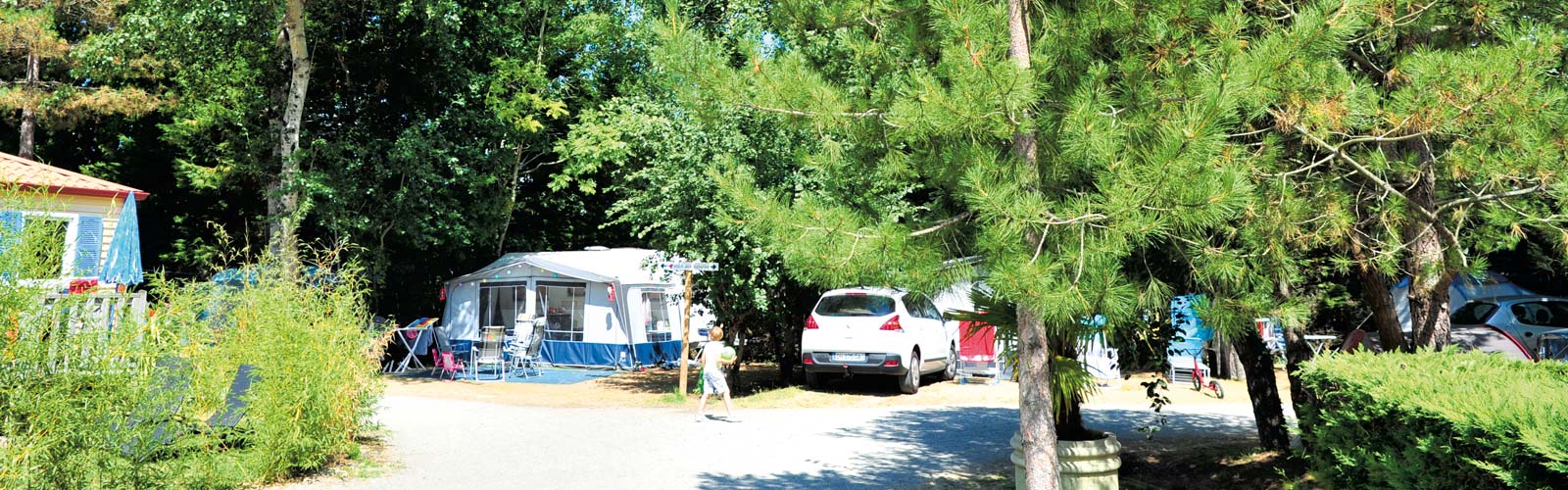 Une allée du parc du camping Le Fief avec des emplacements pour tentes à Saint-Brevin (Bretagne sud)
