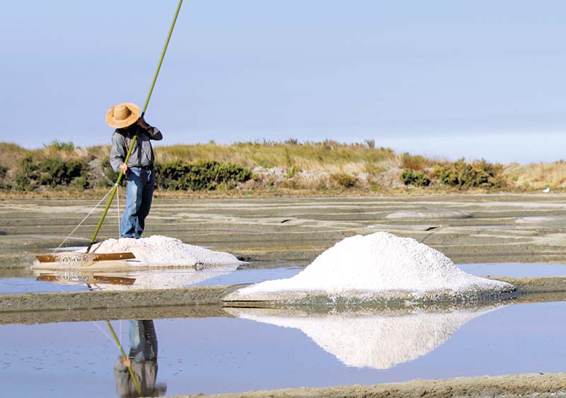 Een zoutbewerker van Guérande verzamelt zout in Zuid-Bretagne