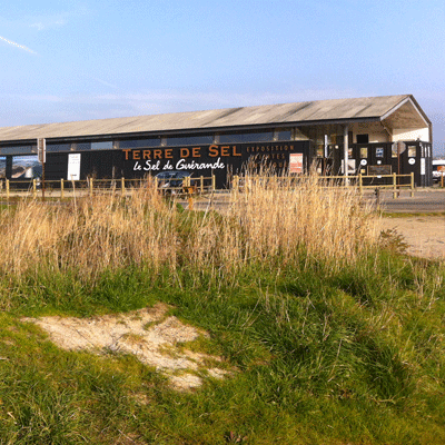 Terre de Sel, marais salants de Guérande