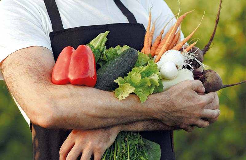 Logo jardin potager