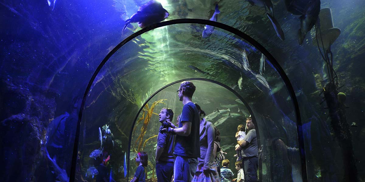 The Croisic aquarium near Le Fief campsite in southern Brittany