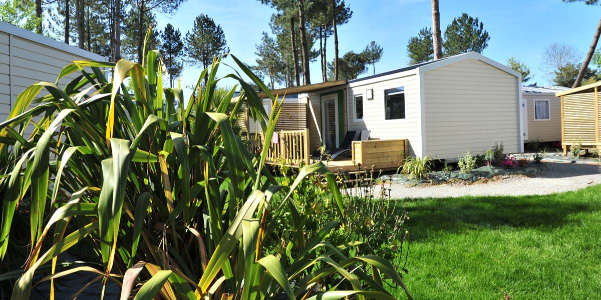 Massive Vegetation vor einem Mobilheim mit Terrasse auf dem Campingplatz Le Fief