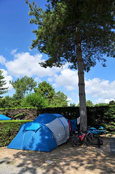 Stellplatz für Zelte unter einem Baum auf dem Campingplatz Le Fief in der Südbretagne